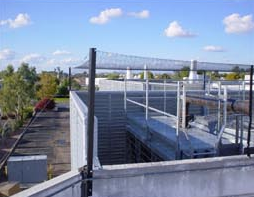 Bohemia Roof Contractor-Bird Protection