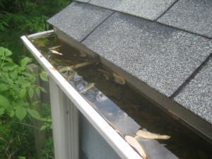 Bay Shore Gutter Cleaning